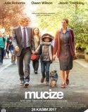 Mucize Bedava Türkçe Alt Yazılı Film izle